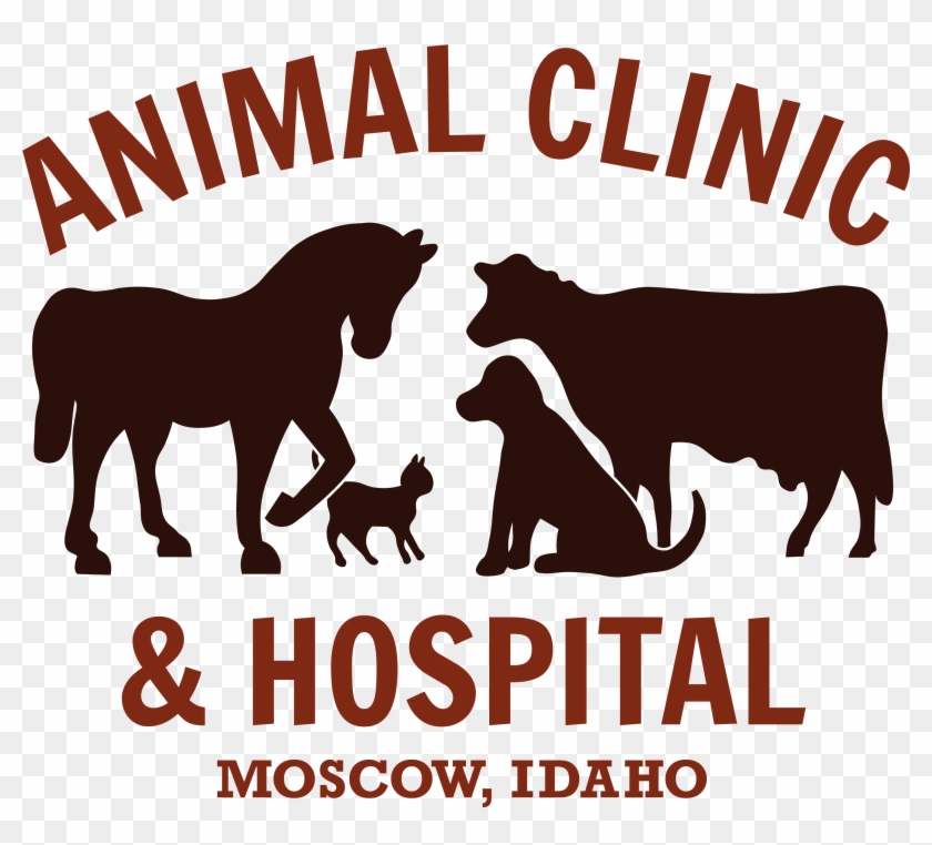 Animal Clinic & Hospital - Animal Clinic Clipart #5453148