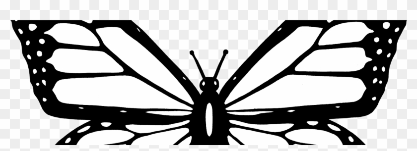 Sir Tomlin's Butterfly - Monarch Butterfly Colouring Page Clipart