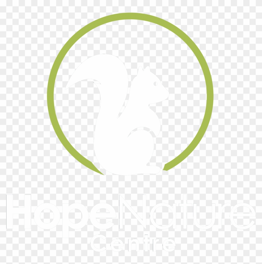 Visit Our Animals - Monitor Test Pattern Clipart #5453363