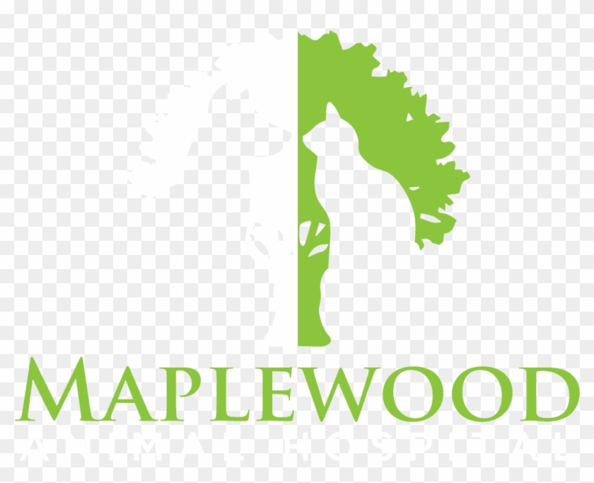 Useful Links - Akcent Love Stoned Cover Clipart