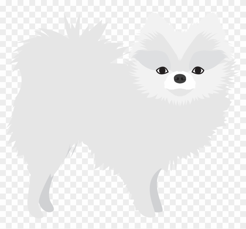 White Pomeranian - Pomeranian Clipart #5455487