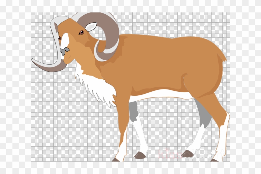Bighorn Sheep Clipart Goat - Default Profile Picture Png Transparent Png #5455608