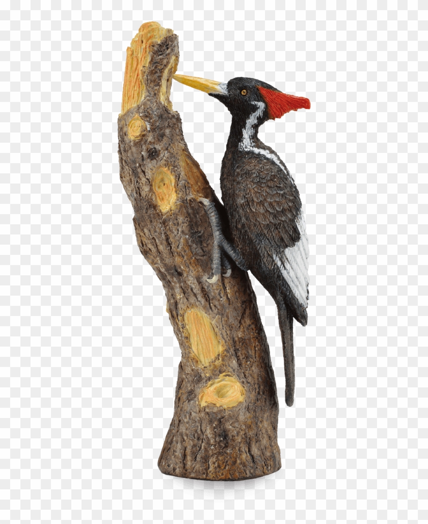Woodpecker Png - Schleich Woodpecker Clipart