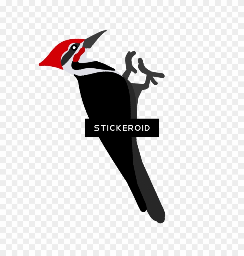 Pileated Woodpecker , Png Download - Ivory-billed Woodpecker Clipart