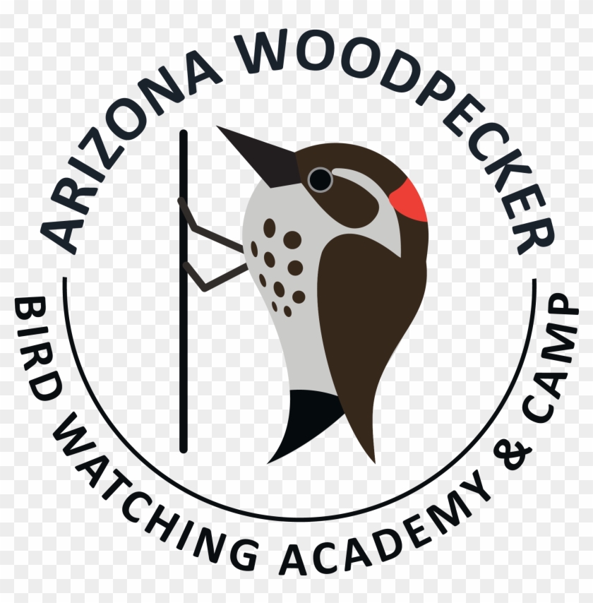 Arizona Woodpecker - Türsab Clipart #5457121