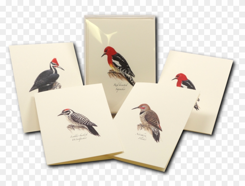 Shopping Cart -  -  - Turkey Clipart