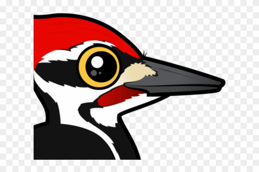 Woodpecker Clipart Red Headed Woodpecker - Cartoon - Png Download
