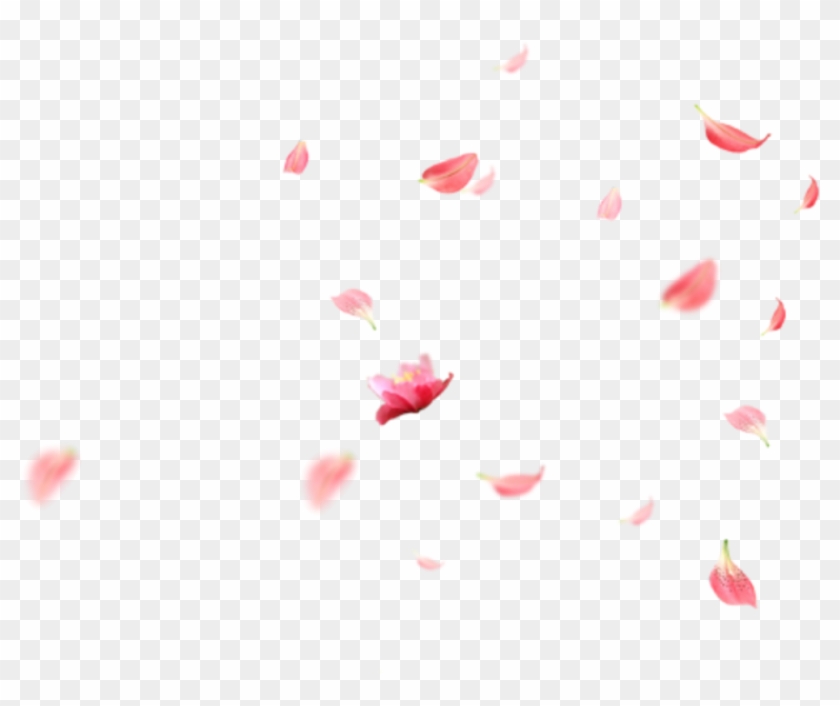 #ftestickers #flowers #cherryblossoms #petals #falling - Art Paper Clipart