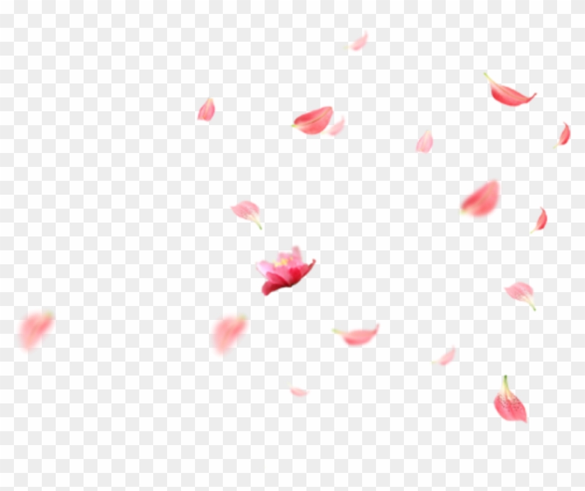 #ftestickers #flowers #cherryblossoms #petals #falling - Art Paper Clipart #5458721