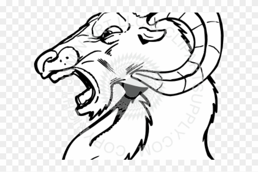 Ram Head Cliparts - Drawing Of A Ram Head - Png Download #5459055