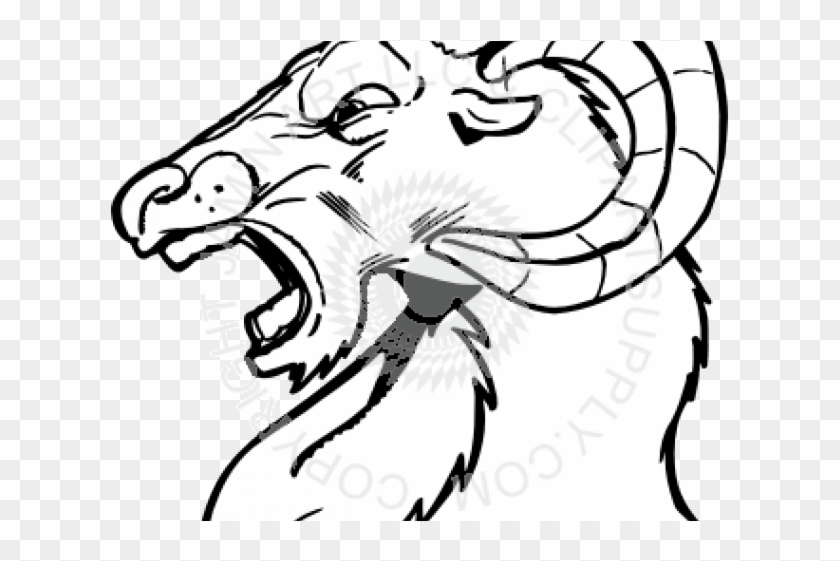 Ram Head Cliparts - Drawing Of A Ram Head - Png Download