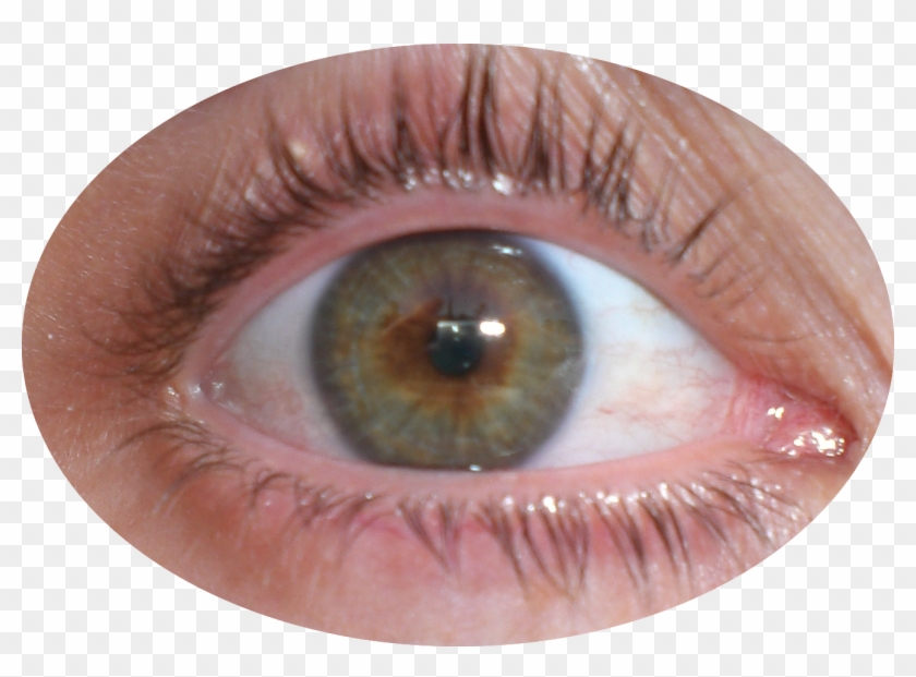 Mi Propio Ojo - Ojos Png Clipart