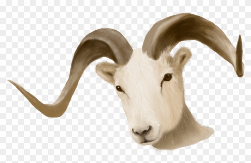 Ram Animal Transparent Background Clipart