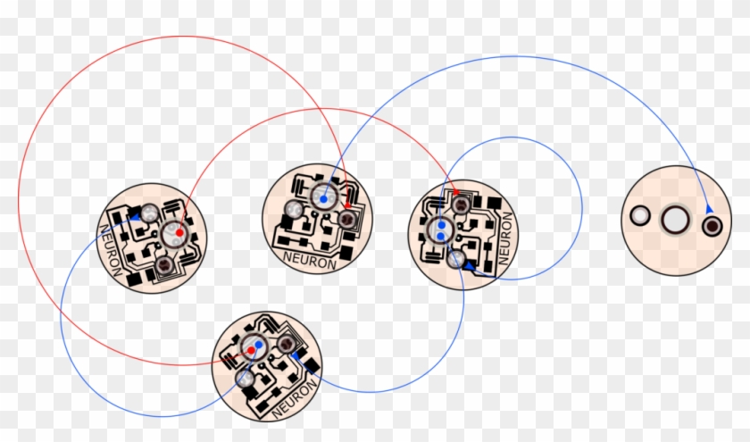 Grupo Neuronas - Circle Clipart #5459792