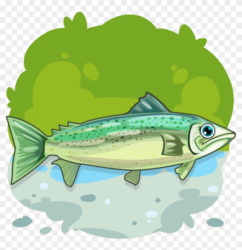 Rainbow Trout - Trout Clipart