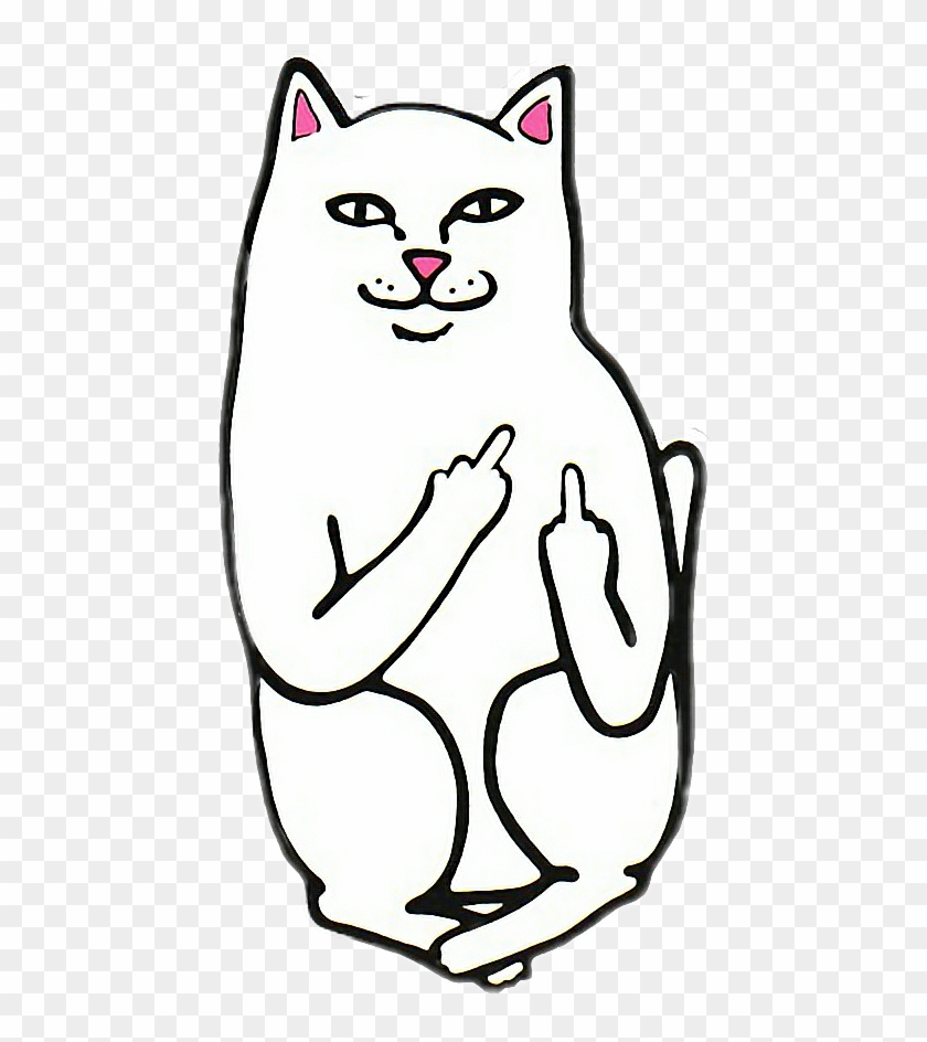 Rip N Dip Cat Png - Rip And Dip Logo Clipart #5460161