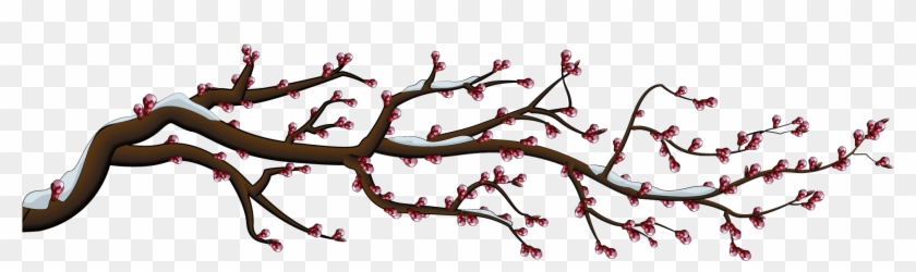 It Blooms In Spring After 810 Years - Cherry Blossom Clipart