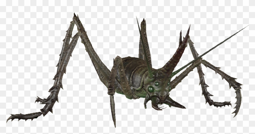 Glowing Cave Cricket - Grasshopper Clipart