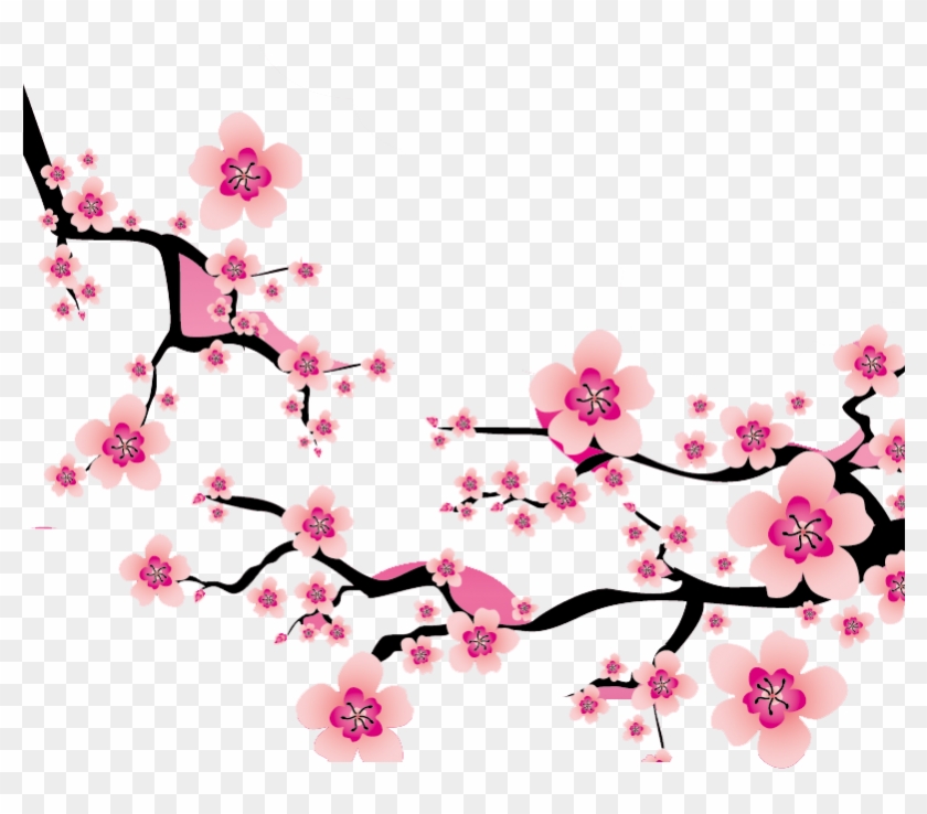 Sakura Blossom Clipart Plum Flower - Peach Blossom Vector Png Transparent Png
