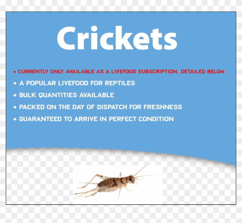 Vets4pets Clipart #5460809