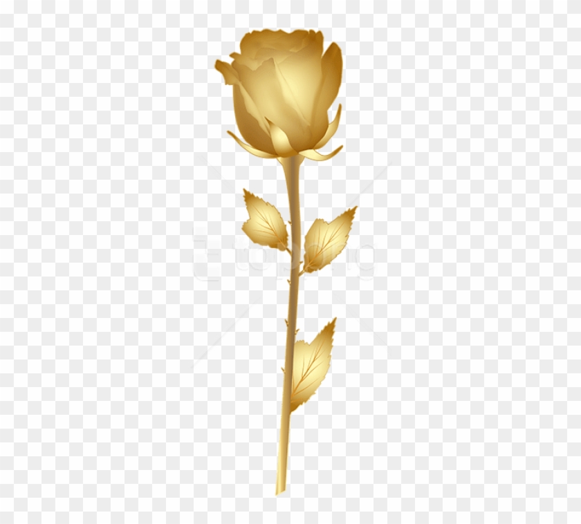 Download Beautiful Gold Rose Png Images Background - Floribunda Clipart #5461124