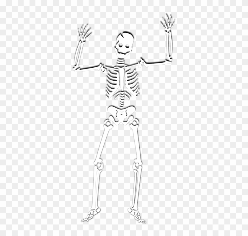Halloween Human Skeleton Skull Coloring Book - Spooky Scary Skeletons Png Clipart