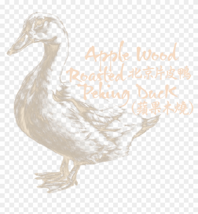 Login On Site - New Taipei Clipart #5462662