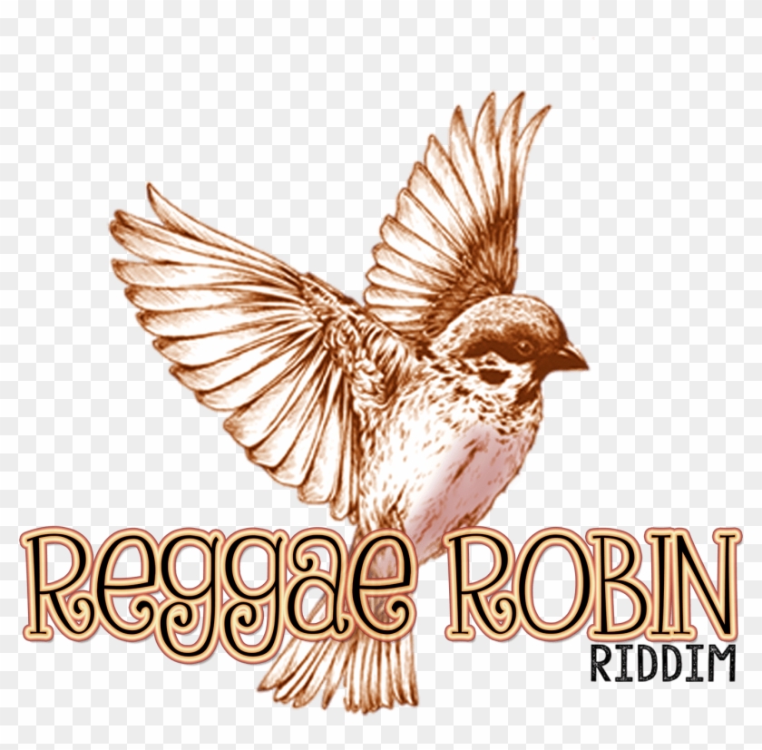Reggae Robin Riddim Logo - Free Flying Bird Drawing Clipart #5464073