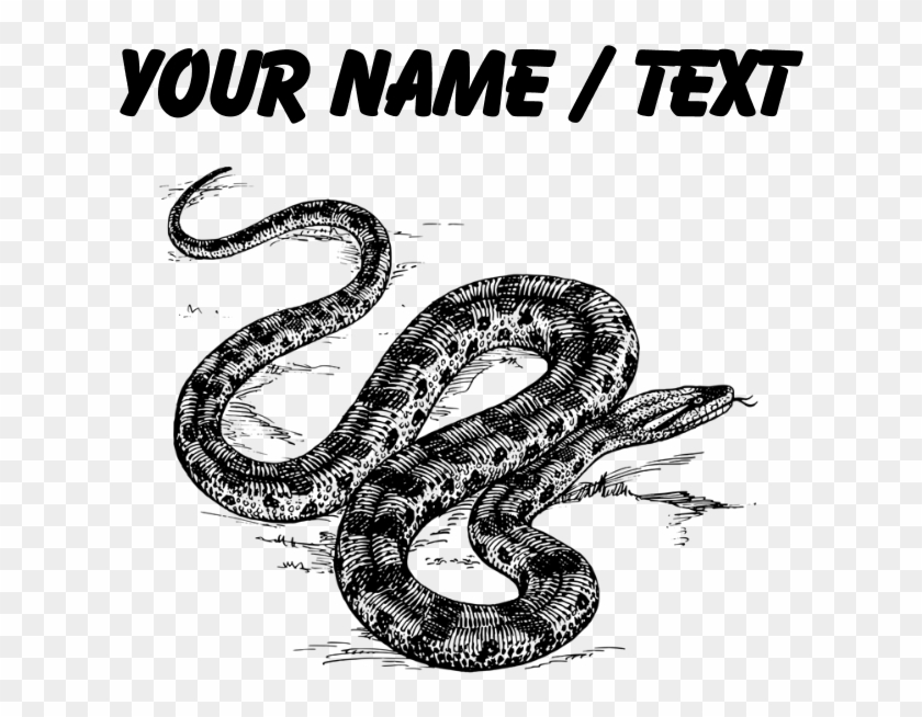 Custom Anaconda Snake Drinking Glass , Png Download - Green Snake Drawing Png Clipart #5464680