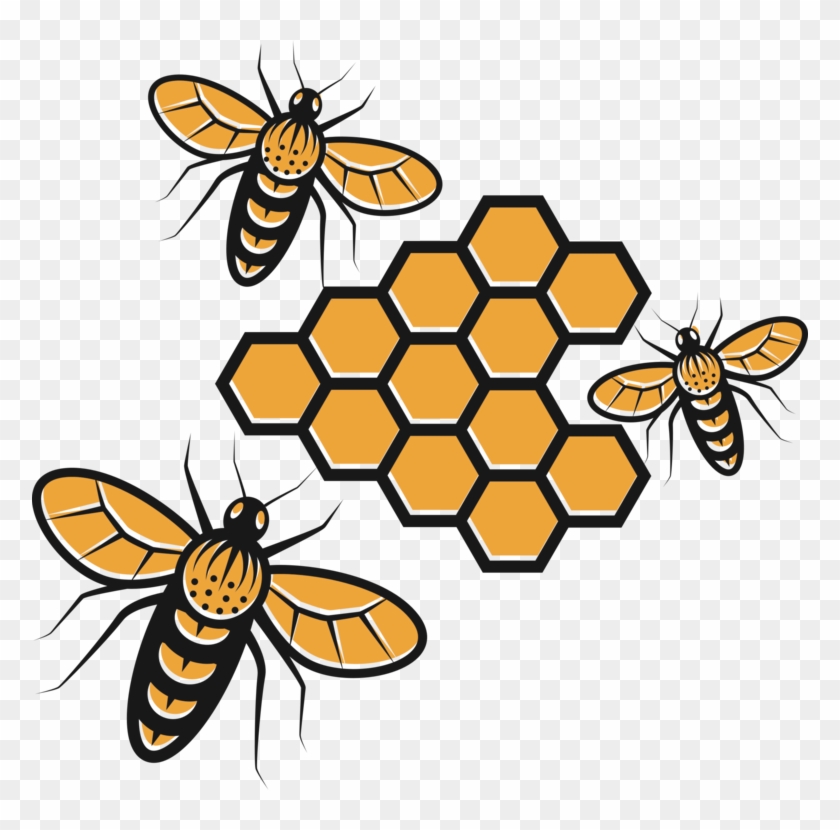 Comb Clipart Honey Bee - Clip Art Honey Free - Png Download