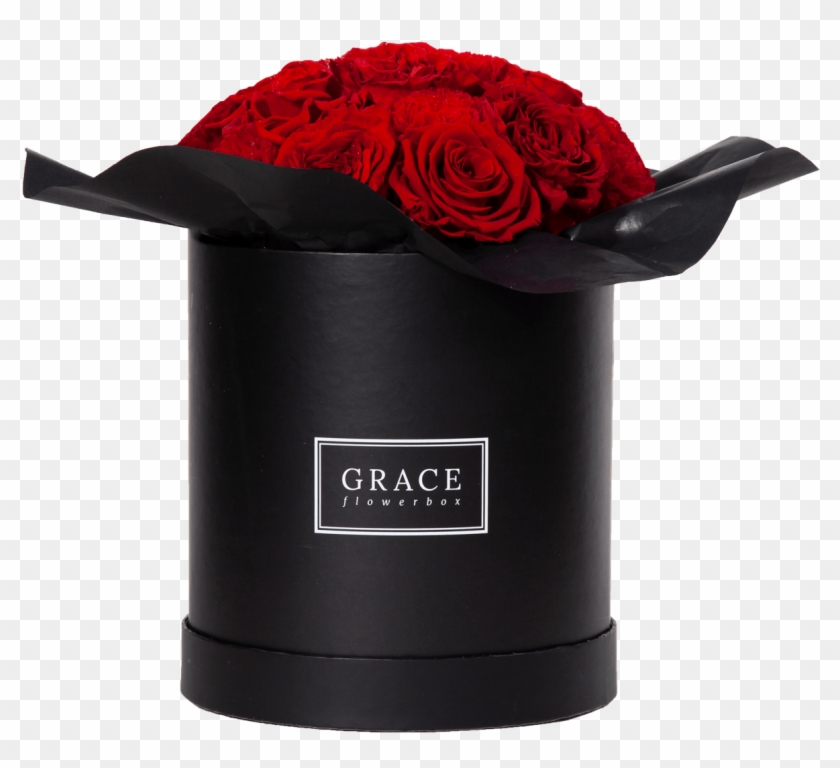 Garden Roses Clipart #5467183