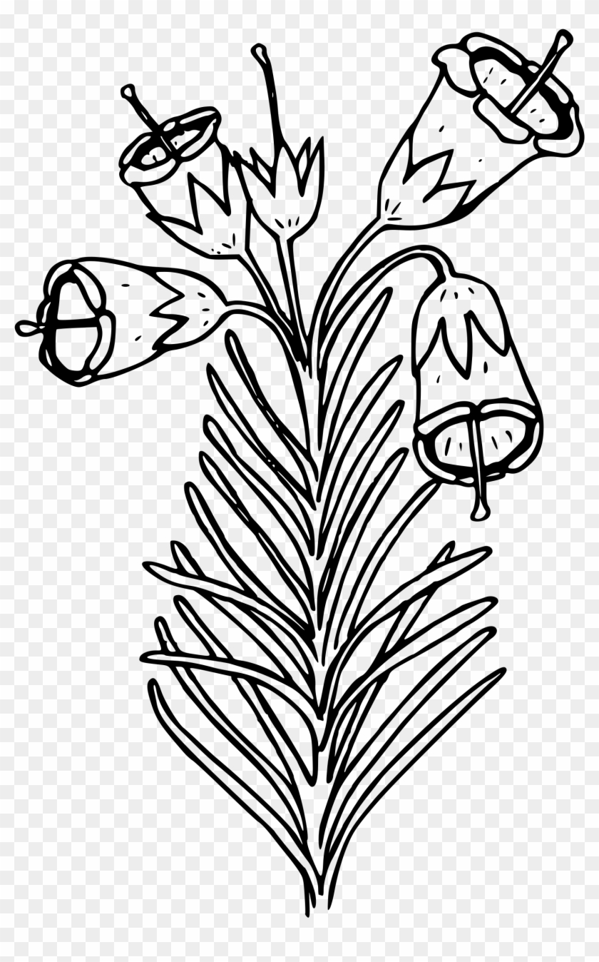 This Free Icons Png Design Of Mountain Heather - Drawing Clipart #5467280