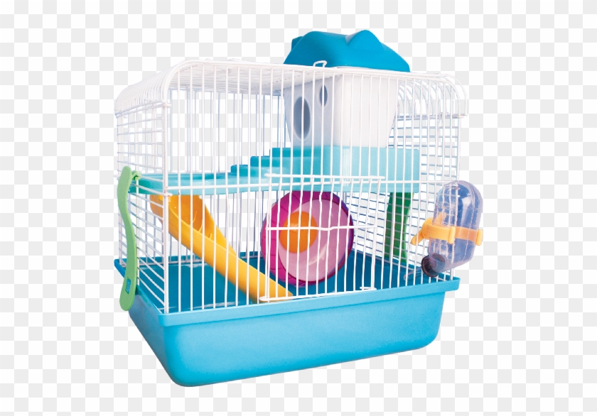 Hamster Cage Clipart