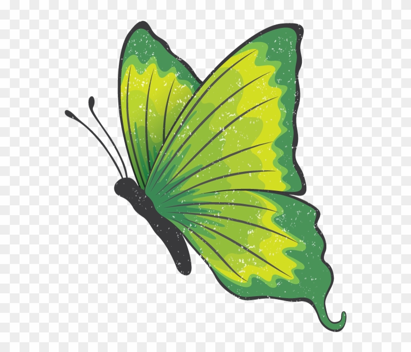 The Green Butterfly Gala May 10, 2018 @ - Transparent Green Butterfly Clipart
