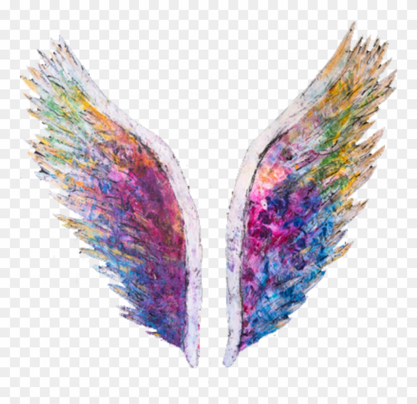 Modinha Ou Não, As Fotos Tiradas Em Paredes Com Asas - Colette Miller Wings Clipart #5468375