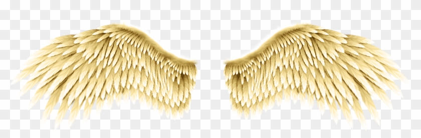 Asas De Anjo Png - Asa De Anjo Dourada Png Clipart