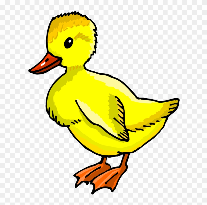 Duck Clipart Duckling - Duckling Clipart - Png Download