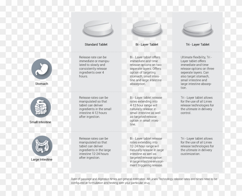 Single Doses Are Much More Likely To Be Incorporated - Circle Clipart