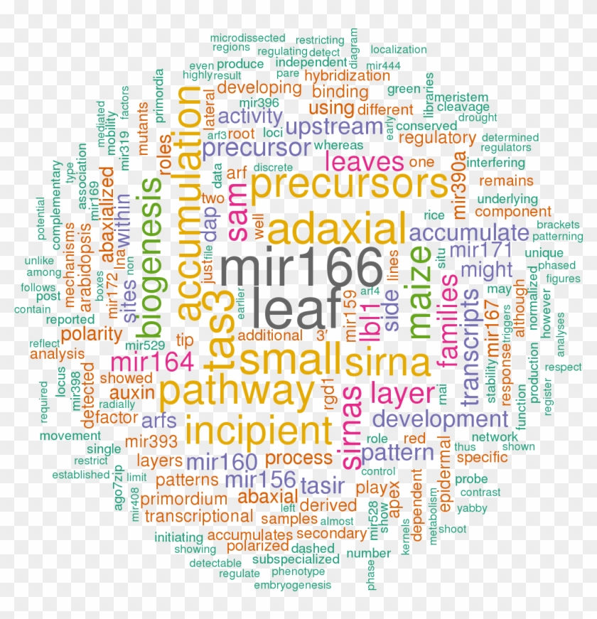 Stem Loop Sequence Zma Mir390b - Word Cloud Power Bi Clipart #5469503
