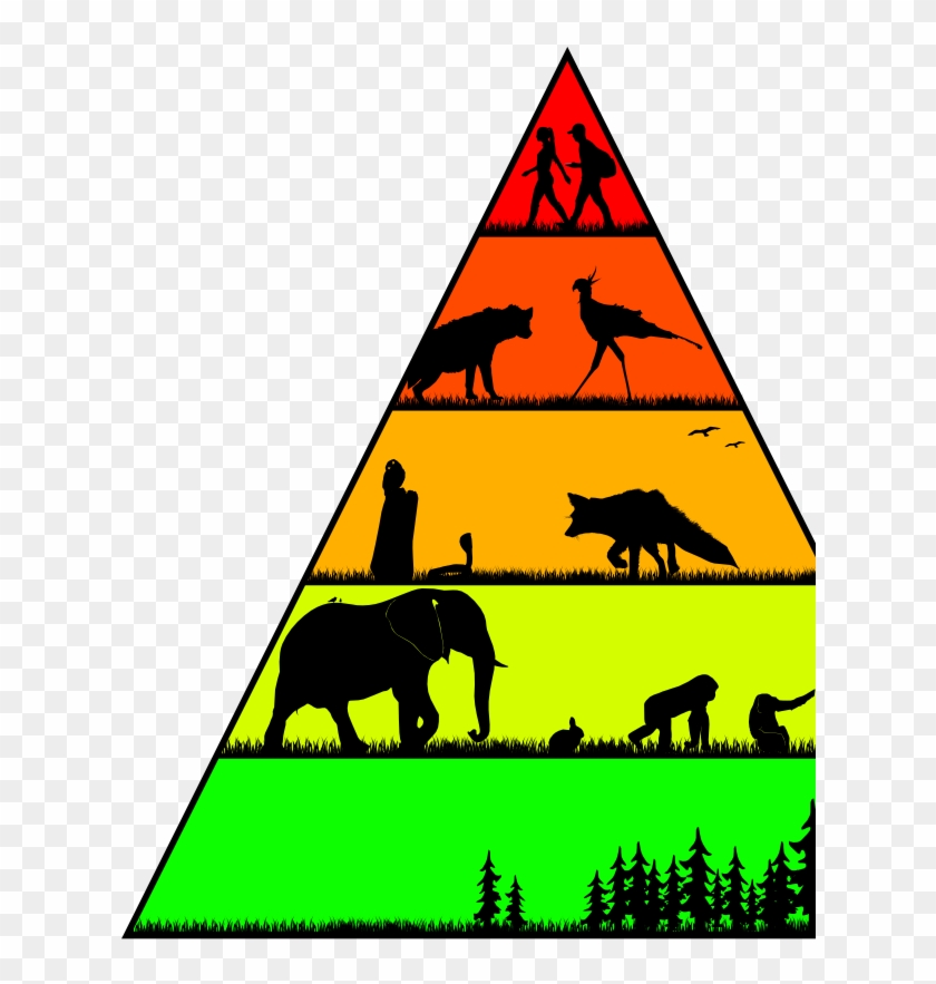 Food Chains In The Wild For Worldbuilding Magazine - Food Chain Pyramid Art Clipart #5471303