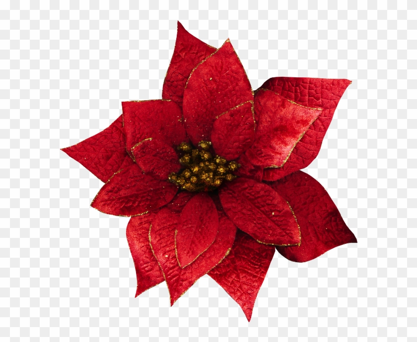 Christmas Flowers Png - Transparent Christmas Flowers Clipart #5471522