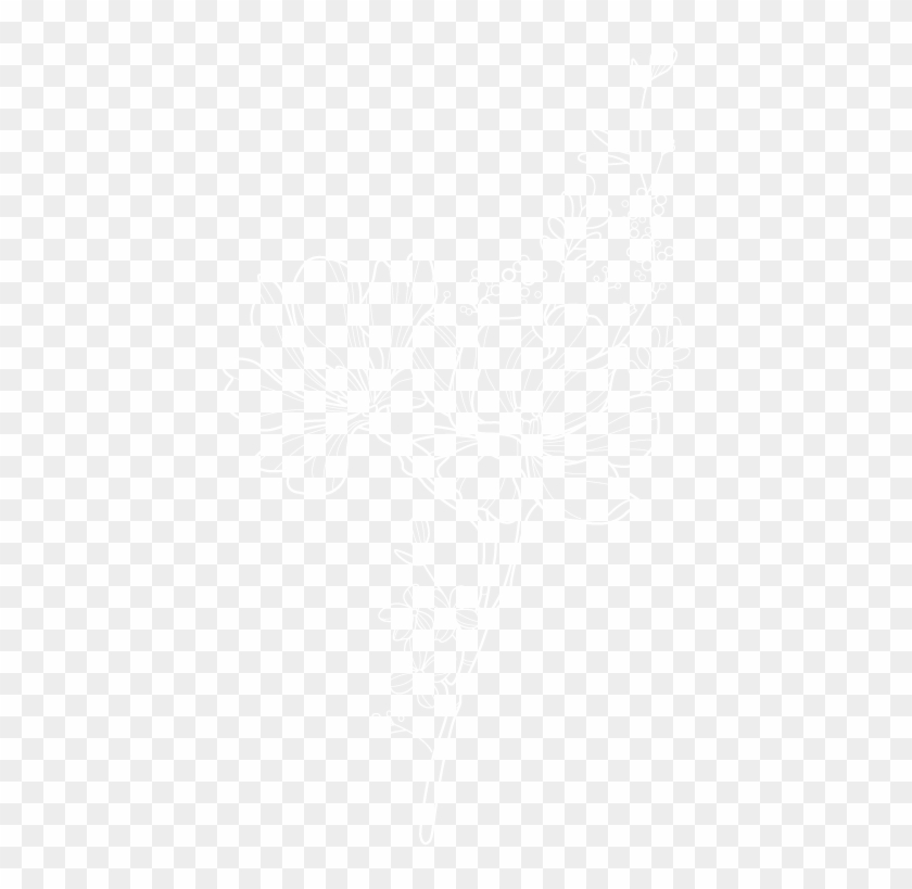 Infinito Amore Is Therefore A Philanthropic Project - Johns Hopkins Logo White Clipart #5472147