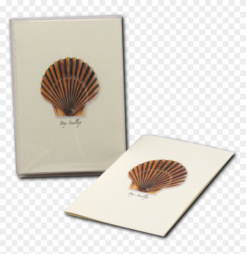 Shopping Cart -  -  - Shell Clipart