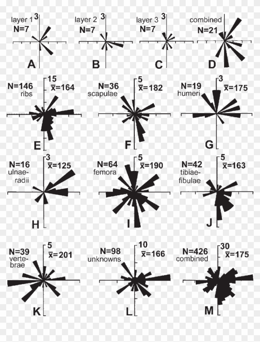 Rose Diagrams Showing The Influence Of Flowing Water - Monochrome Clipart #5472838