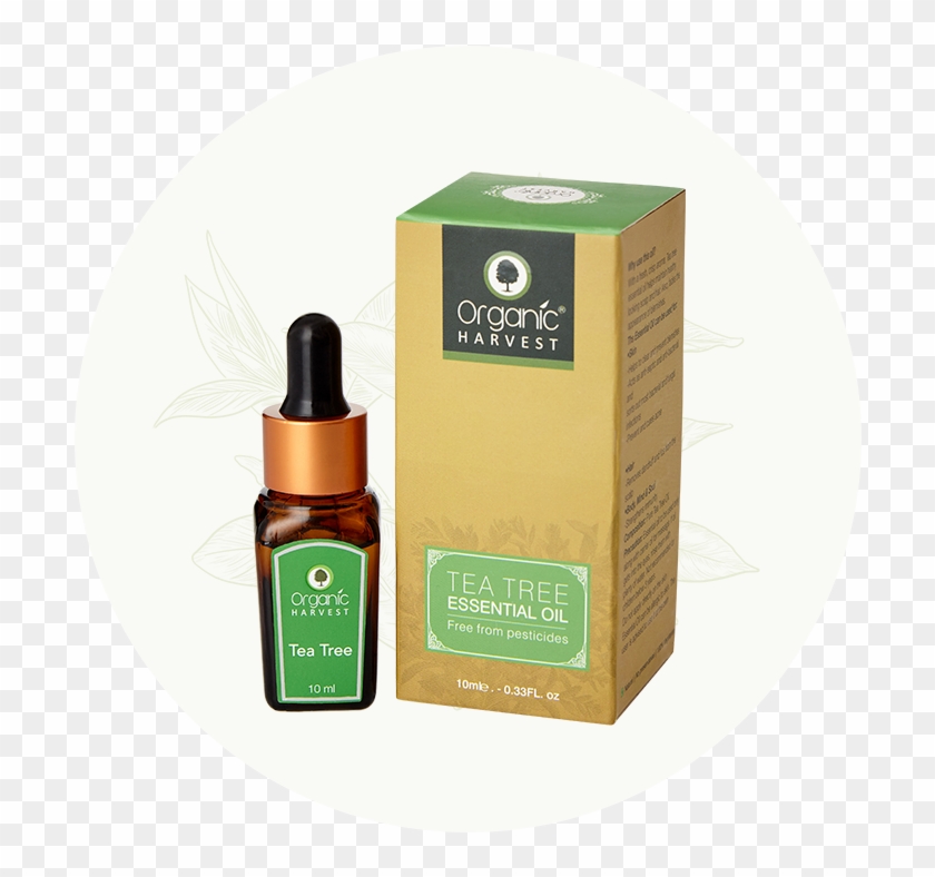 Tea Tree Essential Oil - Cosmetics Clipart