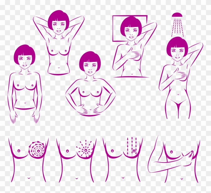 Outubro-rosa - Diagram Of Breast Self Examination Clipart