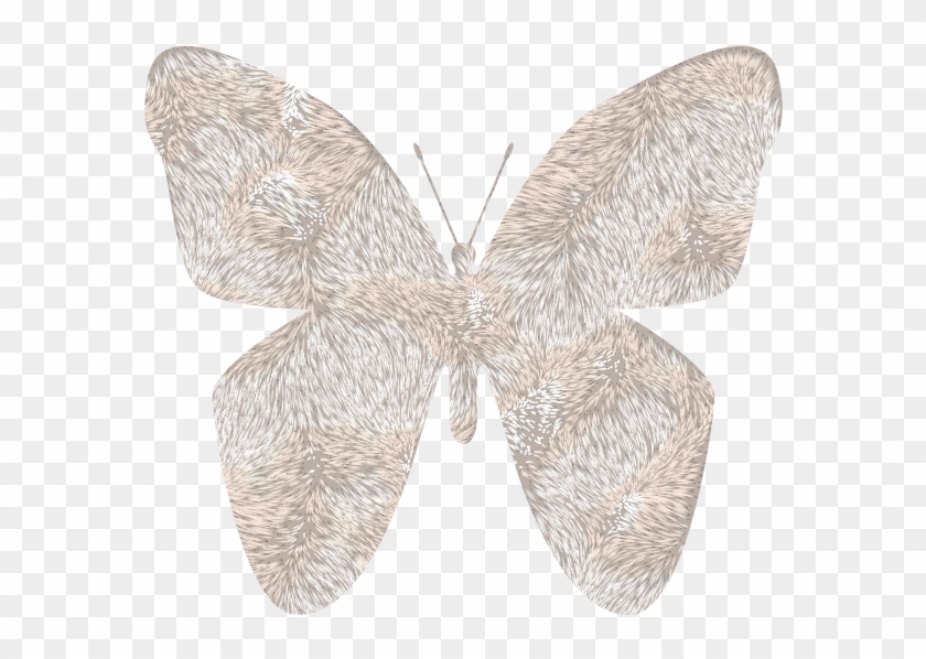 Photo Buterflypelucia - Photobucket Clipart #5474235
