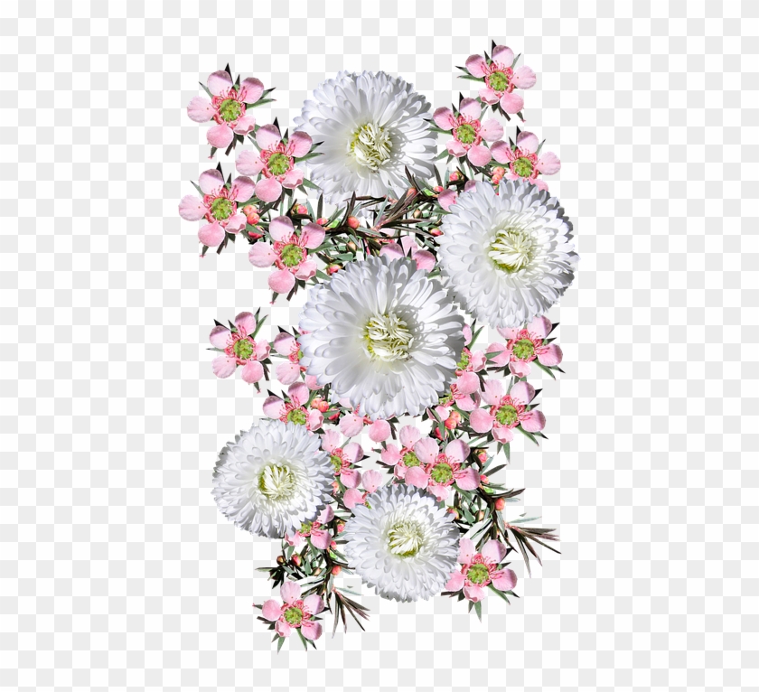 Pink Tea Tree White Daisies - Bouquet Clipart #5474266