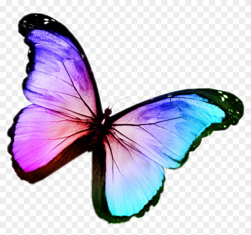 Buterfly Sticker - Nigeria Flag And Logo Clipart #5474351