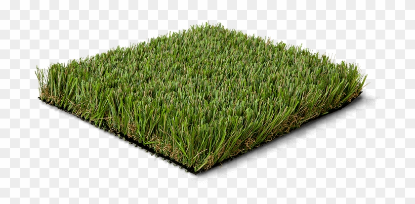 Lawn Clipart